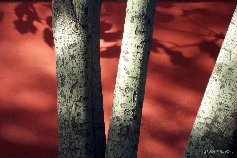 Red Shadows.jpg - Beijing